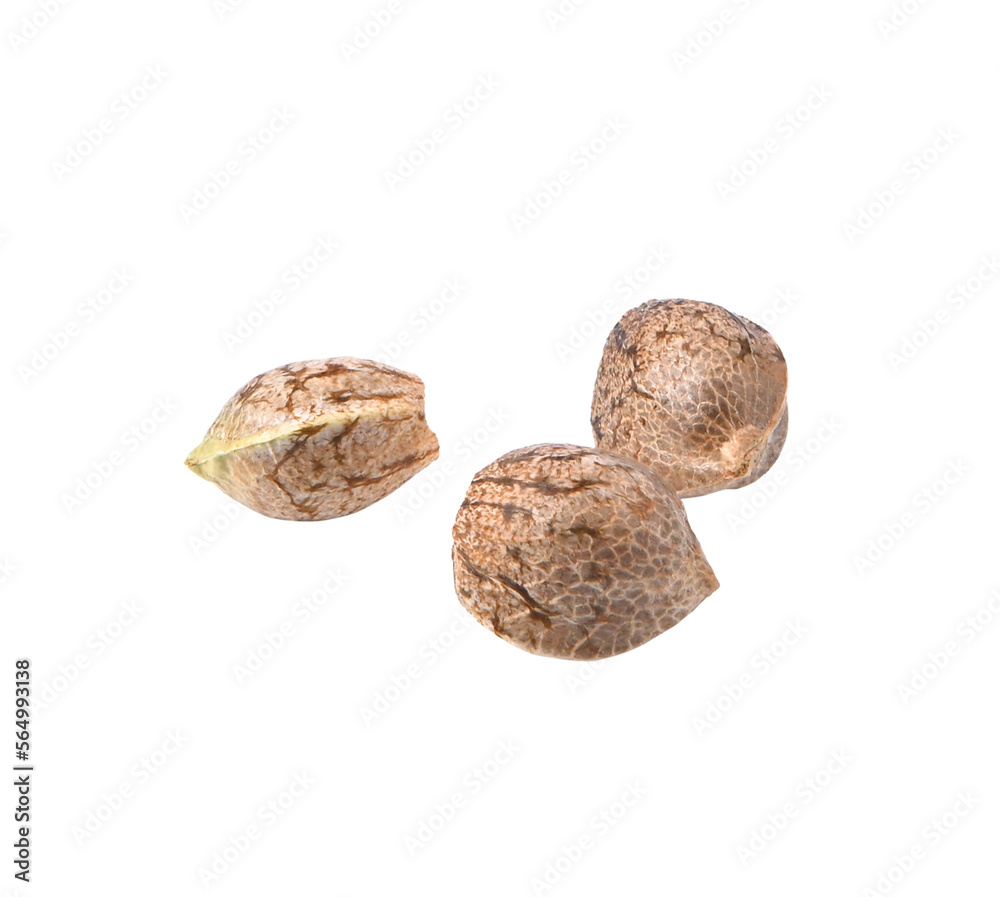Medical cannabis sativa, Marijuana seeds on transparent png. Medical cannabis sativa, Marijuana seeds on transparent png.