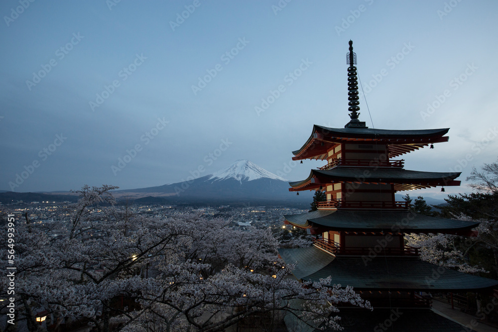 Obraz premium Cherry blossom festival in Japan, Mt.Fuji