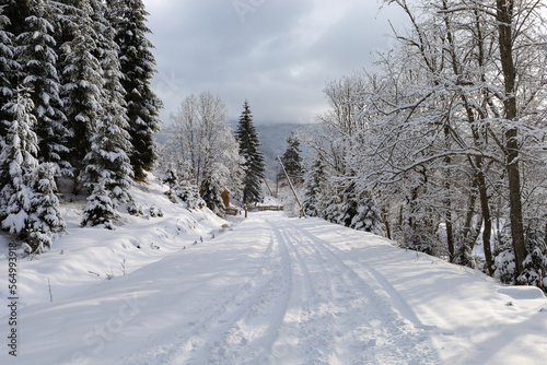 Winter landscape in the Ukrainian Carpathians © Vadim Volodin