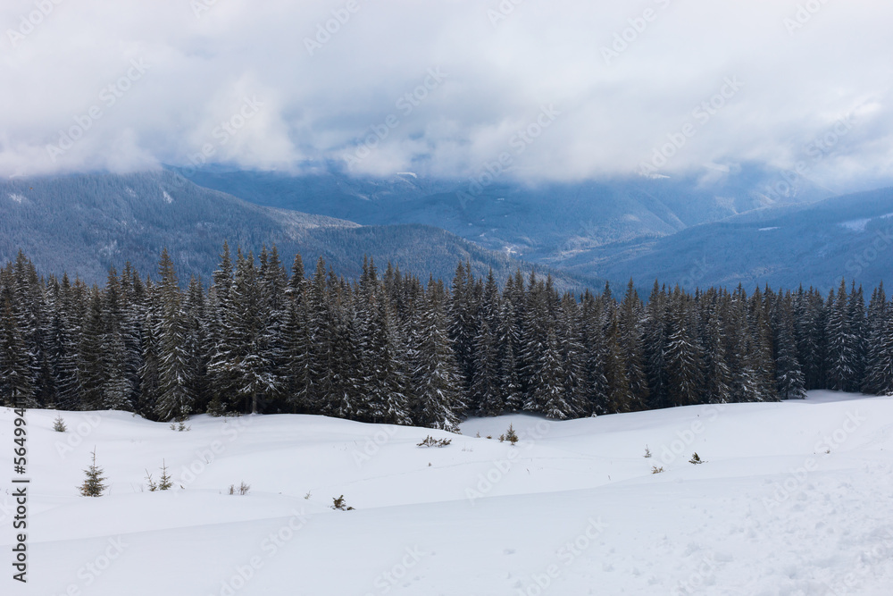 Winter landscape in the Ukrainian Carpathians