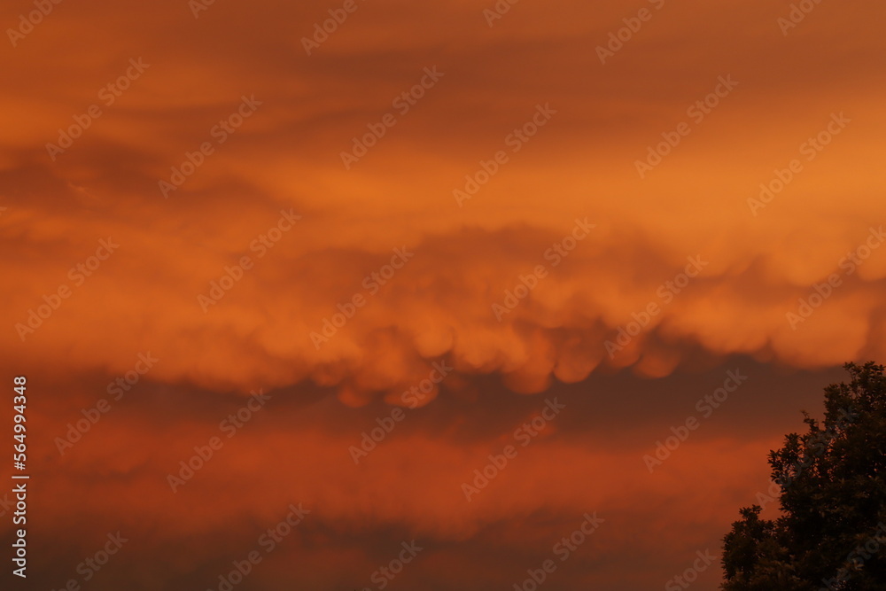 Fototapeta premium Amazing clouds on eastern sky during sunset