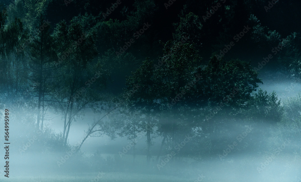 Thick fog creates mystic sight Thick fog creates mystic sight