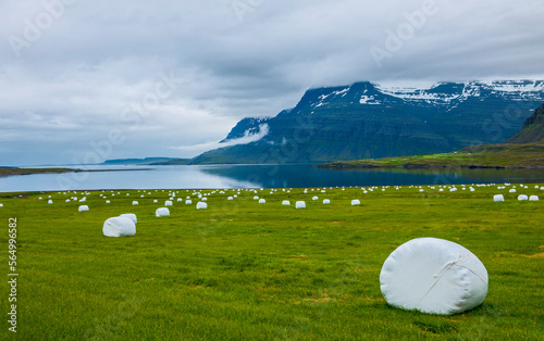 Hey rolls on a field in the eastern fjords of Iceland photo