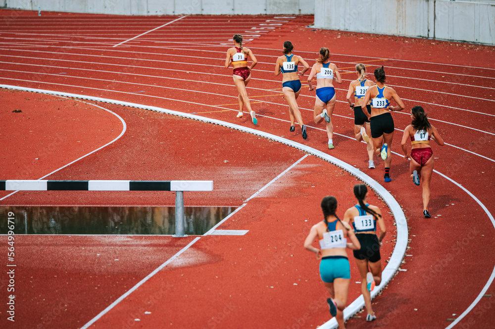 Female athletes pushing their limits in long distance race. Perfect for sports and fitness campaigns, highlighting endurance and