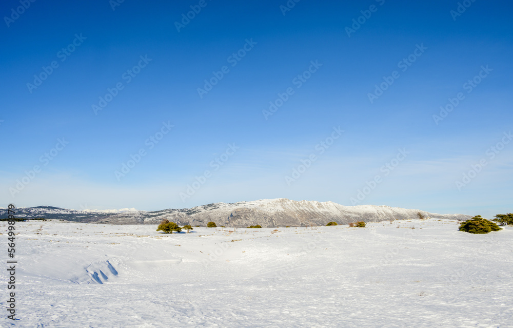 landscape with snow and negative space