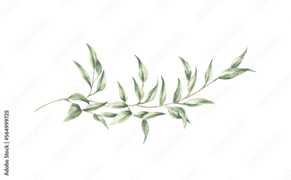 Green leaves element - for bouquets, wreaths, arrangements, wedding invitations, anniversary, birthday, postcards, greetings, cards, logo. Watercolor floral illustration.