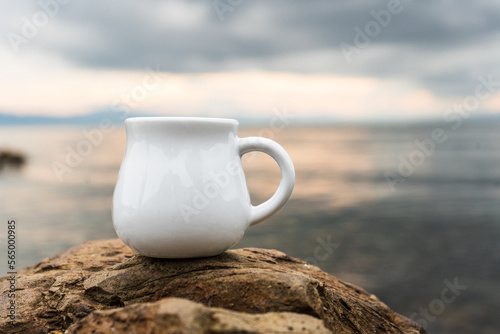 A cream mug standing still on the top of a rock while showing the out of focus scenery at the background