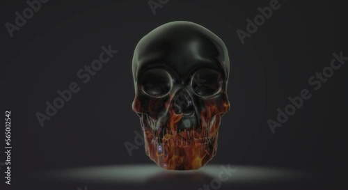 human skull anatomy  skeleton