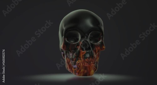 human skull anatomy  skeleton