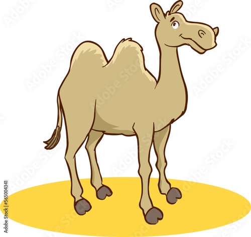  camel cartoon vector illustration isolated on white background.