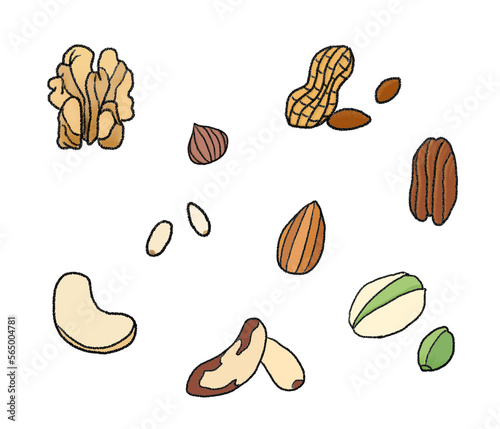 nuts types illustration, 견과류 종류 일러스트