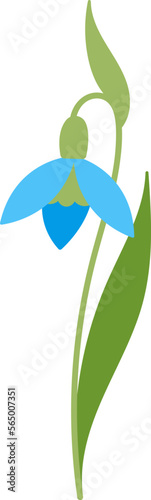 Snowdrop flower flat icon Bloom stem and leaves