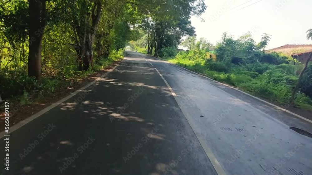 Driving along the road along the forest. POV shot from a camera driving through beautiful empty road Driving along the road along the forest. POV shot from a camera driving through beautiful empty road