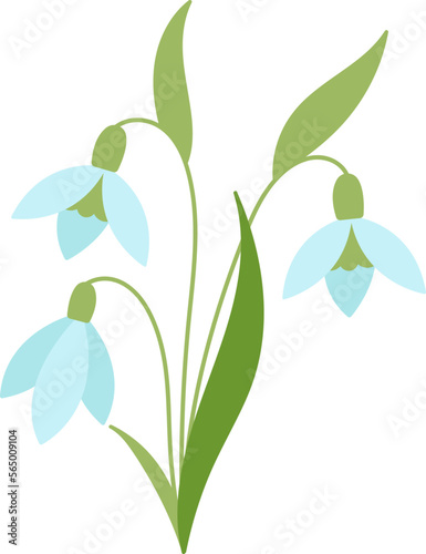Snowdrop flowers flat icon Bloom stem and leaves