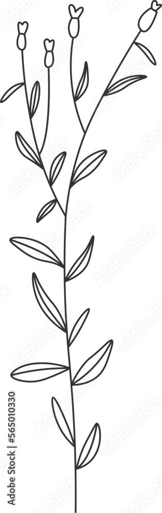Wildflowers line art Contemporary floral design Wildflowers line art Contemporary floral design