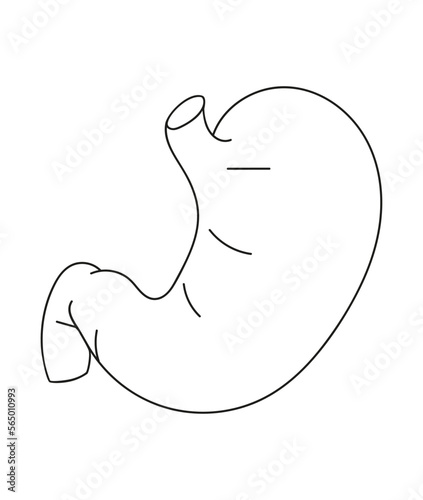 Stomach line icon medical outline symbol. Line stomach gastric icon.