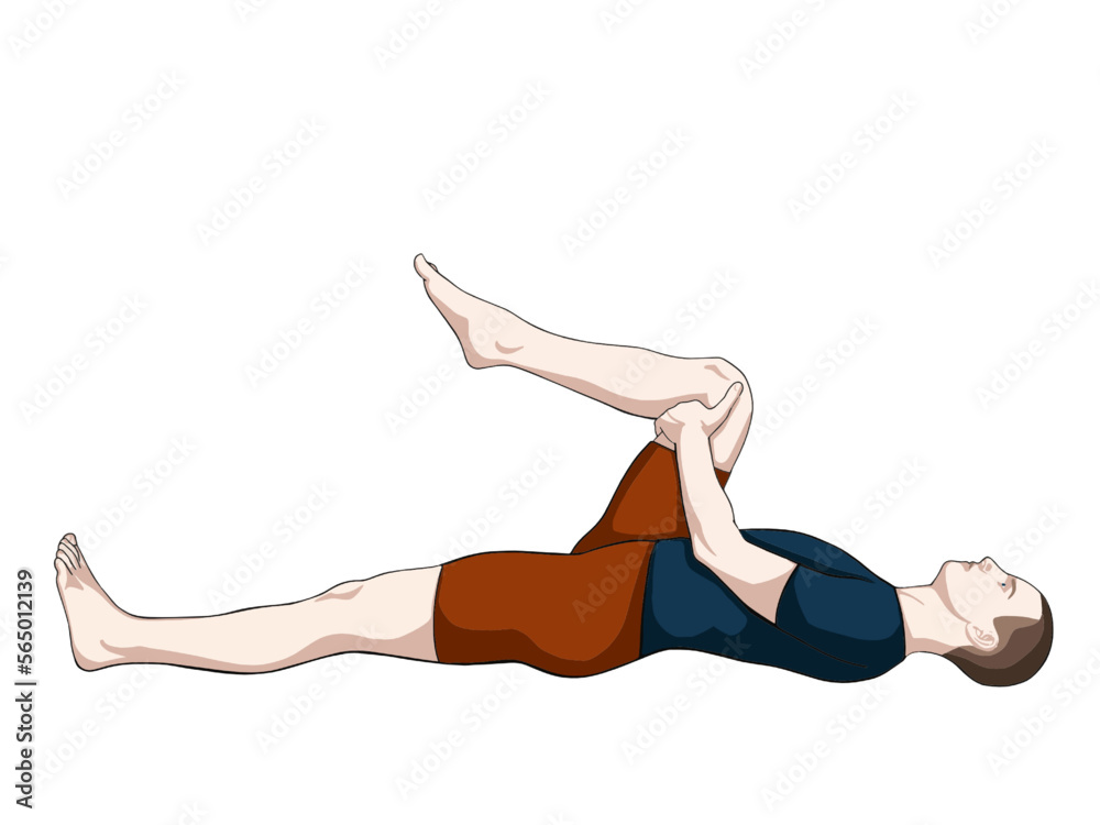 Vectoral exercise illustration for hip pain (hip joint). Exercise 14 Vectoral exercise illustration for hip pain (hip joint). Exercise 14