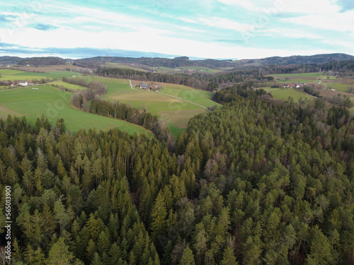 aerial photo of the forest in bavaria with dense needle trees and clearings as a green