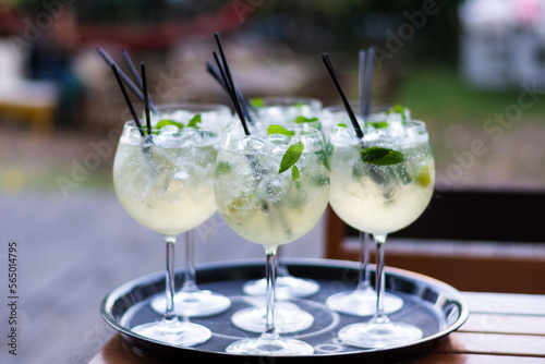 Cocktails with ice and mint 