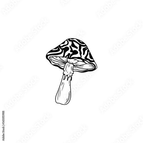 mushroom illustration vector with concept