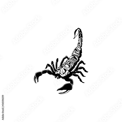 vector illustration of a scorpion