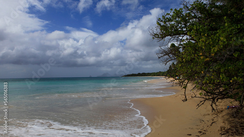 Beach of Tartane, La Martinique island, France photo