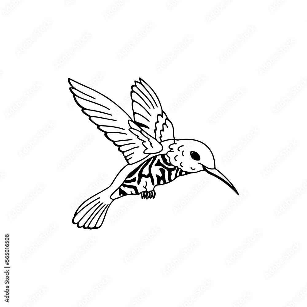 vector illustration of swallow bird concept vector illustration of swallow bird concept