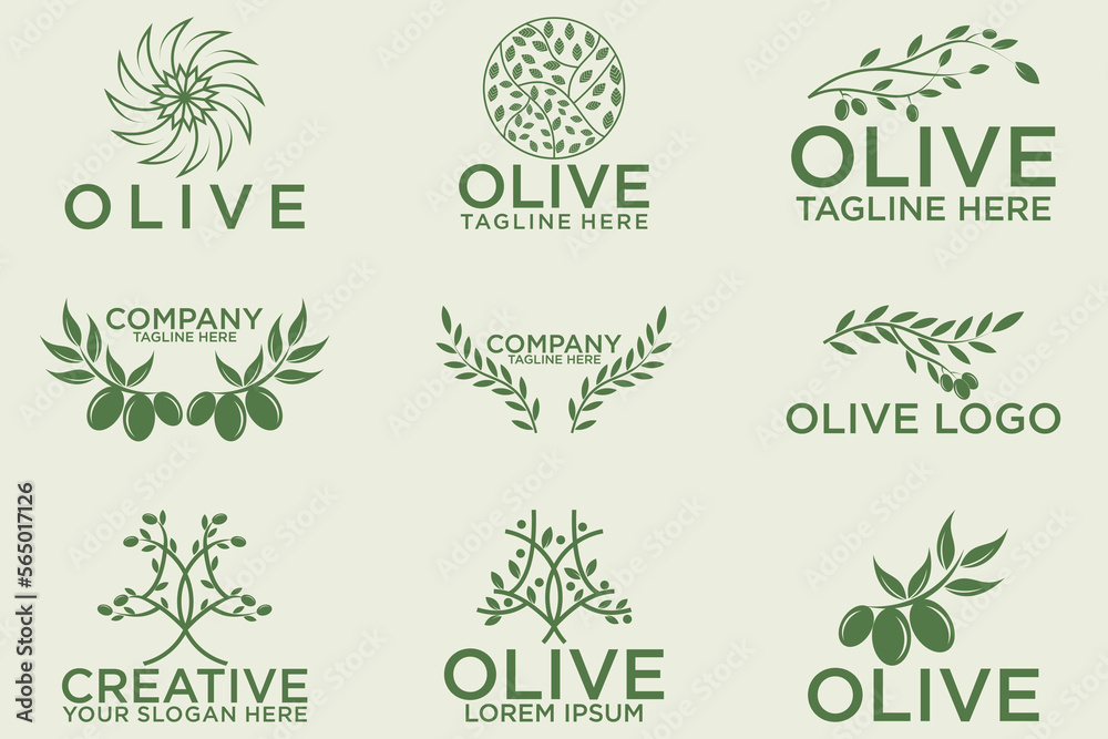 olive branch logo design with 9 options