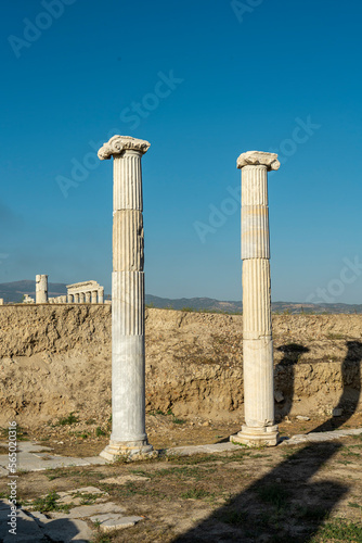 Two ionic columns in ruins of the ancient city of Laodikeia (Laodicea) near Denizli in Turkey.