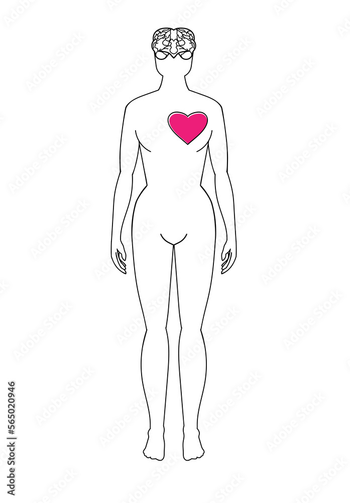 Schematic drawing of a human, brain and heart. Hand drawing. Schematic drawing of a human, brain and heart. Hand drawing.