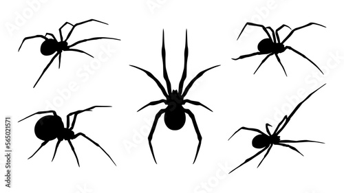 Photographie spider silhouette vector collection, horror and spooky concept, insects