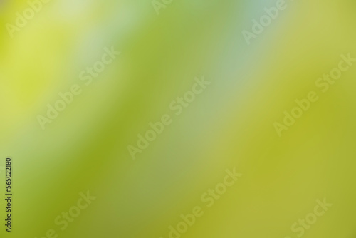 green abstract background, Yellow green gradient smooth background, space for design