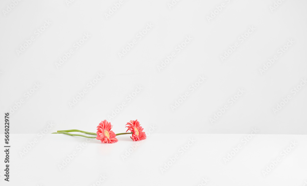 Vase of plant on the white table and isolated background decorative and fresh. Vase of plant on the white table and isolated background decorative and fresh.