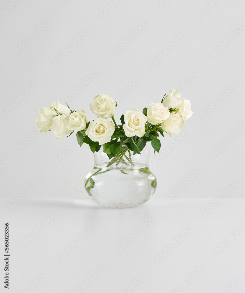 Vase of plant on the white table and isolated background decorative and fresh.