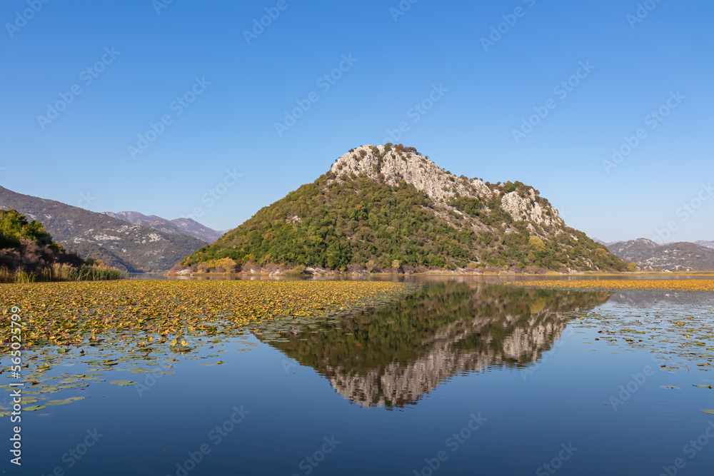 Scenic view of Lake Skadar National Park in autumn near Virpazar, Bar, Montenegro, Balkans, Europe. Travel destination in Dinaric Alps, Albanian border. Stunning landscape water reflection in nature