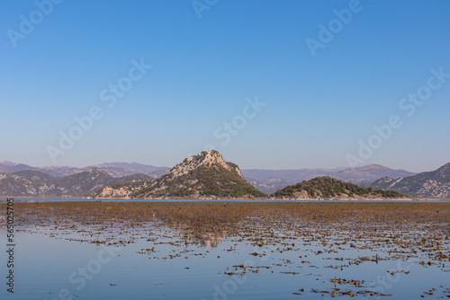 Scenic view of Lake Skadar National Park in autumn near Virpazar, Bar, Montenegro, Balkans, Europe. Travel destination in Dinaric Alps, Albanian border. Stunning landscape water reflection in nature photo