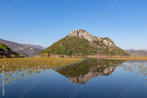 Scenic view of Lake Skadar National Park in autumn near Virpazar, Bar, Montenegro, Balkans, Europe. Travel destination in Dinaric Alps, Albanian border. Stunning landscape water reflection in nature