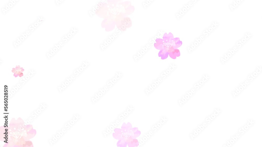 水彩の桜が咲く背景ループアニメーション2（アルファチャンネル）