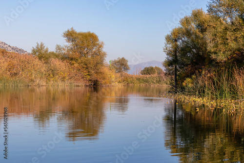 Panoramic idyllic view of water reflection in Crmnica river going to Lake Skadar in Virpazar, Bar, Montenegro, Balkans, Europe. Travel destination on sunny autumn day in wilderness in the Dinaric Alps