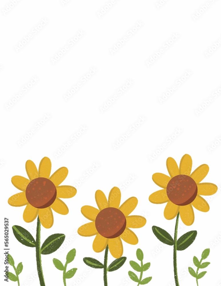 Obraz premium sunflower on white background