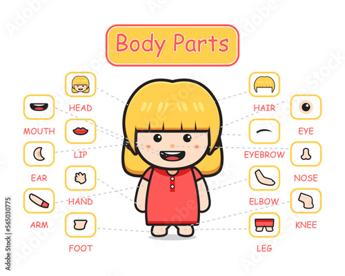 Happy cute kid girl body part anatomy cartoon icon clipart illustration