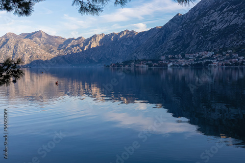 Panoramic view of bay of Kotor at sunrise in summer  Adriatic Mediterranean Sea  Montenegro  Balkans  Europe. Fjord winding along coastal towns. First sunbeams on Lovcen mountains. Water reflection