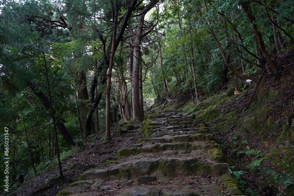 Fototapeta premium 熊野三山、神倉神社、かみくらじんじゃ、熊野、くまの、かみくら、じんじゃ、かんのくら、熊野速玉大社、はやたまたいしゃ、熊野、くまの、速玉大社、神倉山、速玉神社、神社、世界遺産、ユネスコ、紀伊山地、参詣道、紀伊山地の霊場と参詣道、きいさんち、神倉神社、しめ縄、ご神木、狛犬、お参り、和歌山、日本、神道、仏教、鳥居、橋、木、信仰、古い、建物、アジア、看板、案内板、説明、サイン、夫婦、ご利益、神様、神、伝統