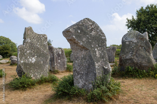 Alignment of Kerzerho - rows of menhirs in Brittany