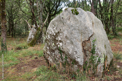 Kerjean alignments - megalithic monument in Brittany