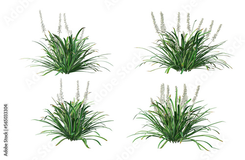 3D render many plants and flowers on a transparent background