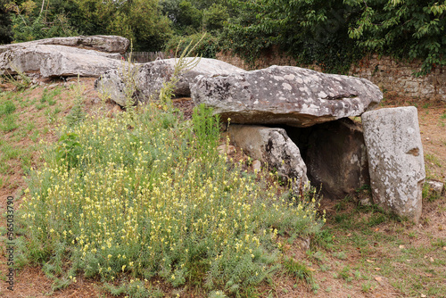 Dolmen Mane Rutual, Locmariaquer, Brittany photo