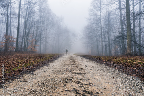 Photography A man walking out of the fog down mountain gravel road in a winter woodland with the road disappearing in back the misty fog