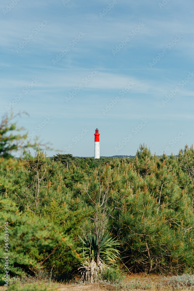 Phare du Cap Ferret Stock Photo Adobe Stock