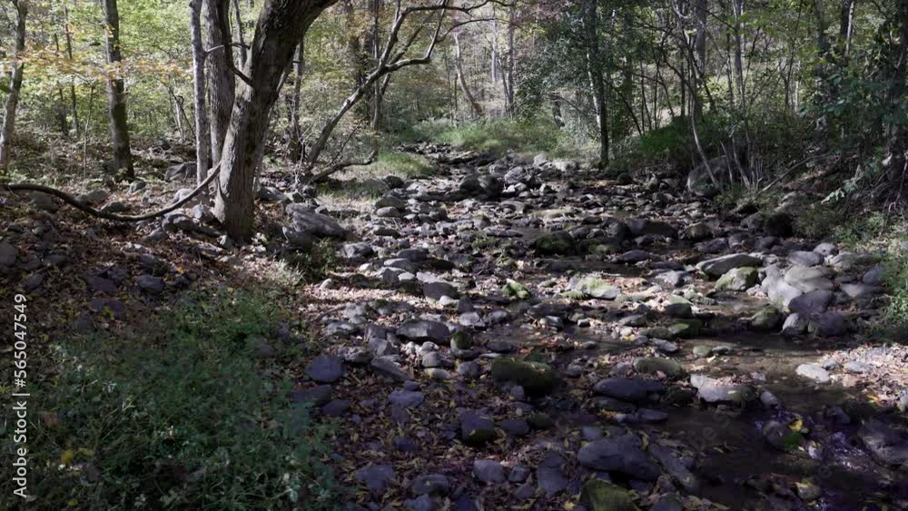 Rocky creek bed with running water in summer. Rocky creek bed with running water in summer.
